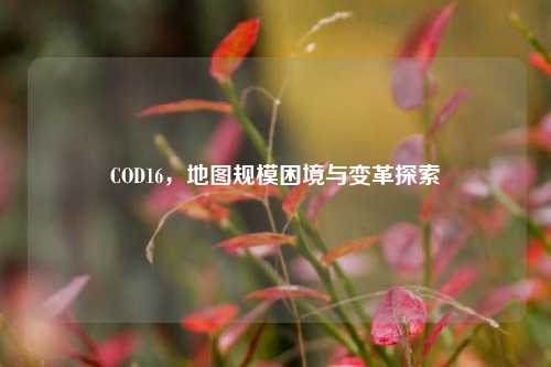 COD16,地图规模困境与变革探索