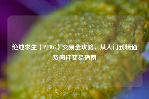 绝地求生(PUBG)交易全攻略,从入门到精通及图样交易指南