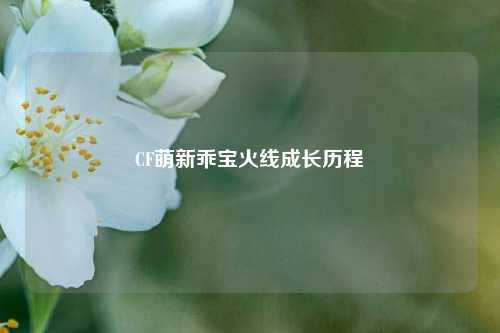 CF萌新乖宝火线成长历程
