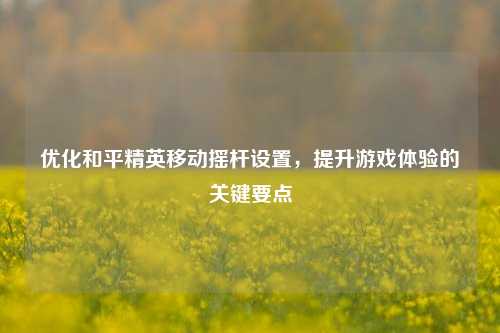 优化和平精英移动摇杆设置,提升游戏体验的关键要点