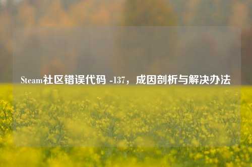 Steam社区错误代码 -137,成因剖析与解决办法