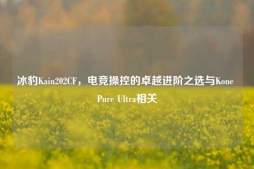 冰豹Kain202CF，电竞操控的卓越进阶之选与Kone Pure Ultra相关