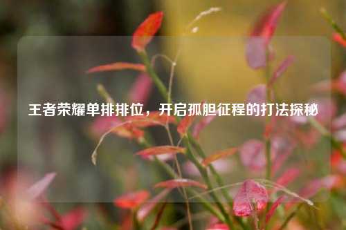 王者荣耀单排排位,开启孤胆征程的打法探秘