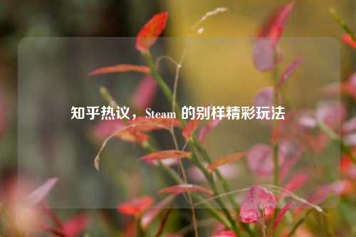 知乎热议,Steam 的别样精彩玩法