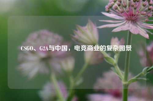 CSGO、G2A与中国，电竞商业的复杂图景