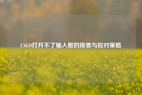 CSGO打开不了输入框的排查与应对策略