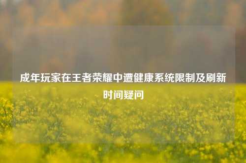 成年玩家在王者荣耀中遭健康系统限制及刷新时间疑问