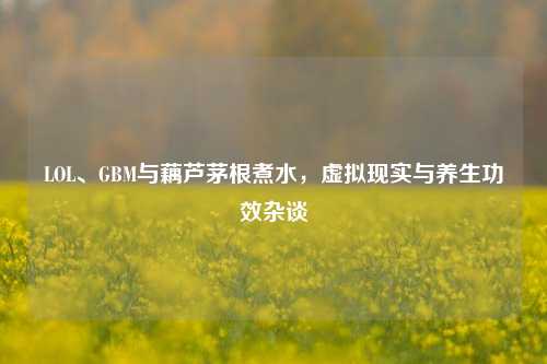 LOL、GBM与藕芦茅根煮水,虚拟现实与养生功效杂谈