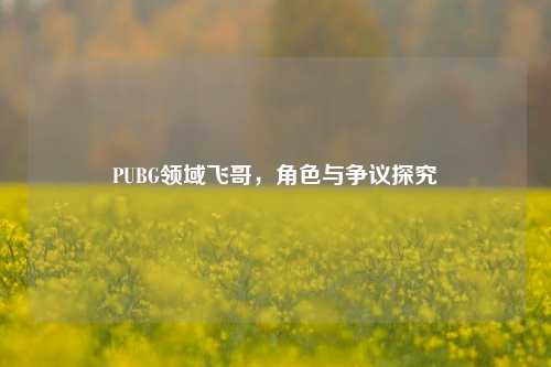 PUBG领域飞哥,角色与争议探究