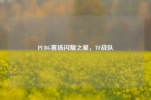 PUBG赛场闪耀之星,TF战队
