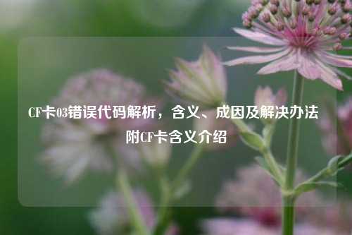 CF卡03错误代码解析，含义、成因及解决办法 附CF卡含义介绍