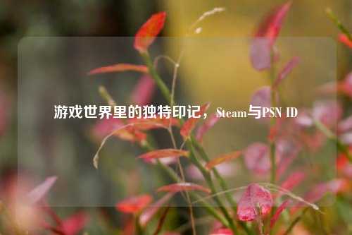 游戏世界里的独特印记,Steam与PSN ID