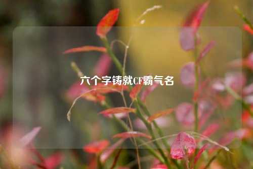六个字铸就CF霸气名