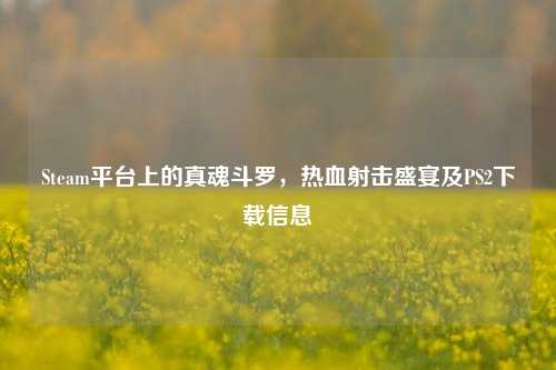 Steam平台上的真魂斗罗,热血射击盛宴及PS2下载信息