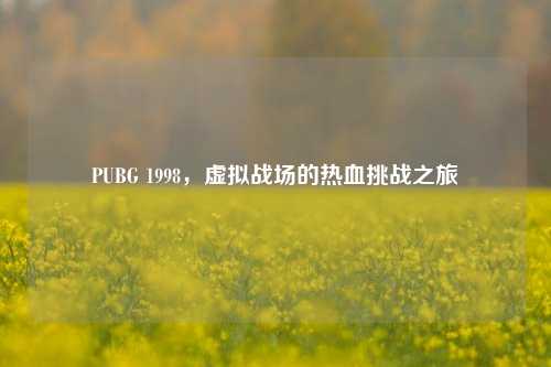 PUBG 1998,虚拟战场的热血挑战之旅