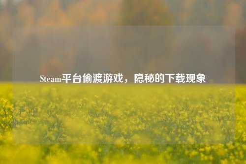 Steam平台偷渡游戏,隐秘的下载现象
