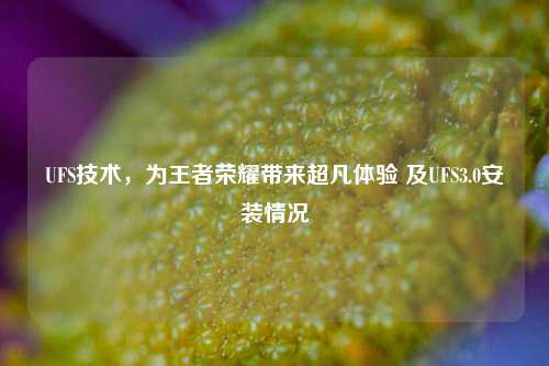 UFS技术,为王者荣耀带来超凡体验 及UFS3.0安装情况