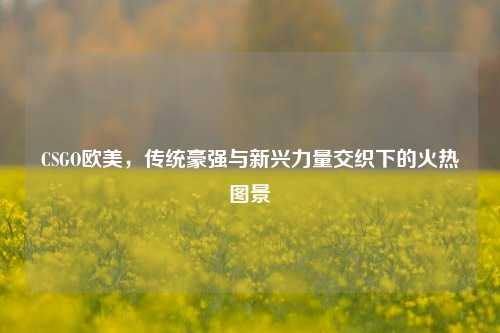 CSGO欧美,传统豪强与新兴力量交织下的火热图景