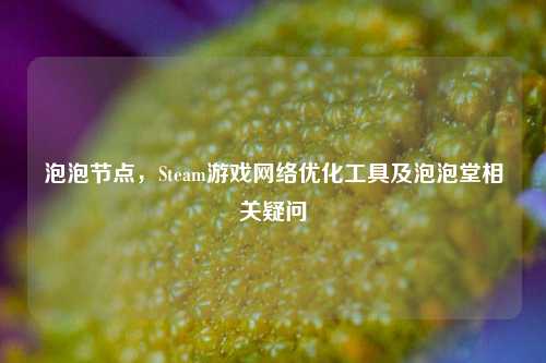 泡泡节点,Steam游戏网络优化工具及泡泡堂相关疑问