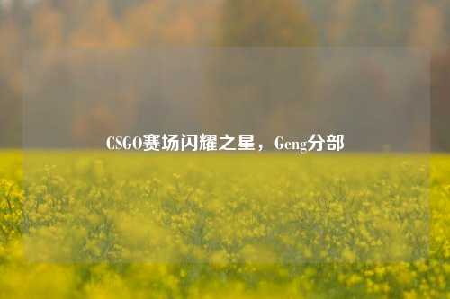 CSGO赛场闪耀之星,Geng分部