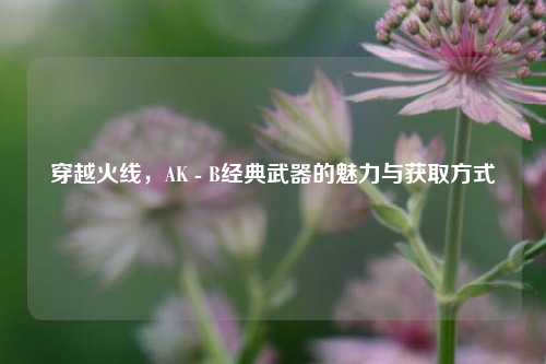 穿越火线，AK - B经典武器的魅力与获取方式