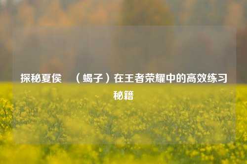 探秘夏侯惇(蝎子)在王者荣耀中的高效练习秘籍