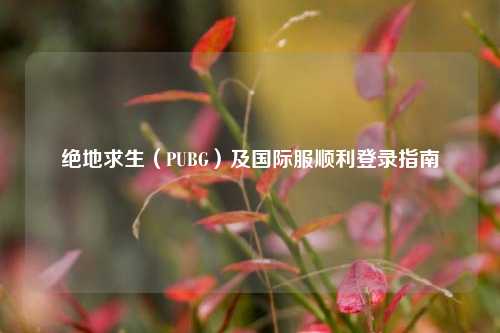 绝地求生(PUBG)及国际服顺利登录指南