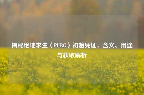 揭秘绝地求生(PUBG)初始凭证,含义、用途与获取解析