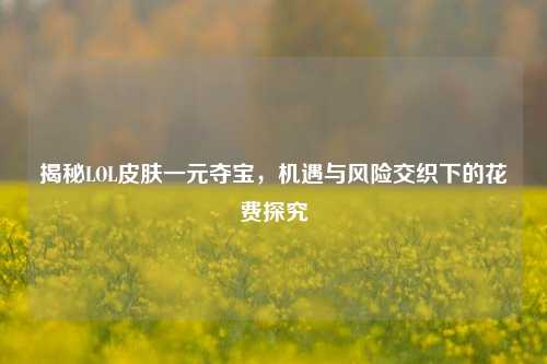 揭秘LOL皮肤一元夺宝,机遇与风险交织下的花费探究