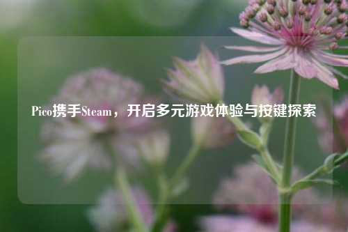Pico携手Steam，开启多元游戏体验与按键探索