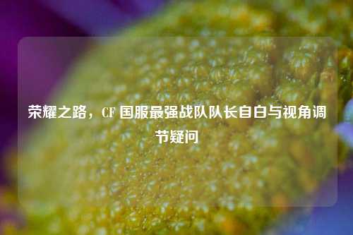 荣耀之路,CF 国服最强战队队长自白与视角调节疑问