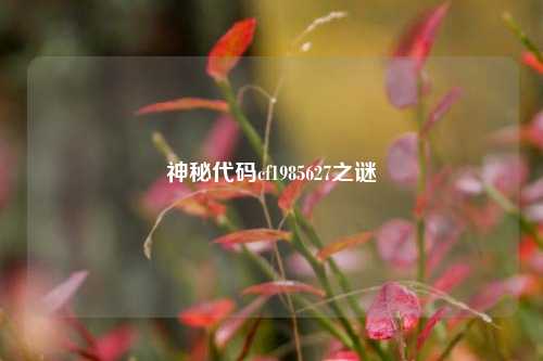 神秘代码cf1985627之谜