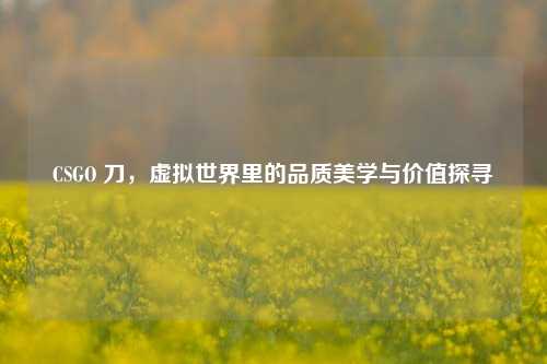 CSGO 刀，虚拟世界里的品质美学与价值探寻