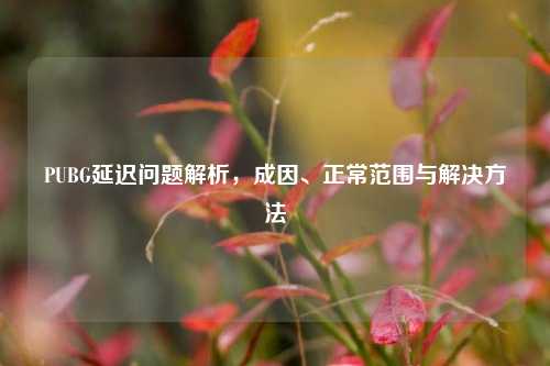 PUBG延迟问题解析,成因、正常范围与解决方法