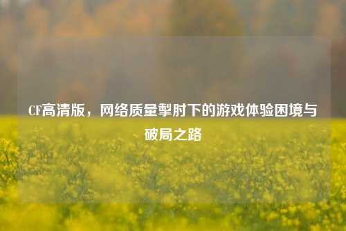 CF高清版,网络质量掣肘下的游戏体验困境与破局之路