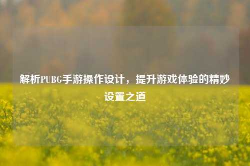 解析PUBG手游操作设计,提升游戏体验的精妙设置之道