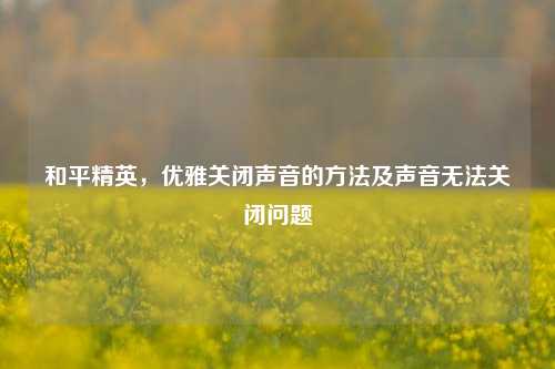 和平精英,优雅关闭声音的方法及声音无法关闭问题