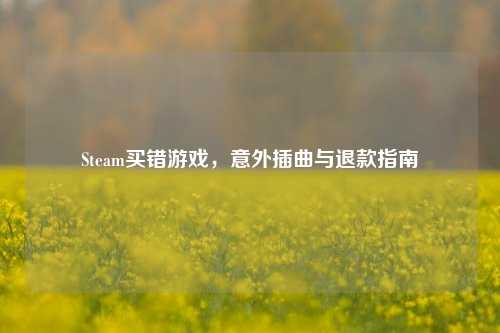 Steam买错游戏,意外插曲与退款指南