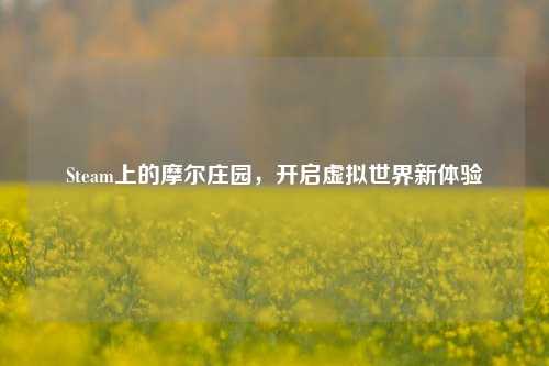 Steam上的摩尔庄园,开启虚拟世界新体验