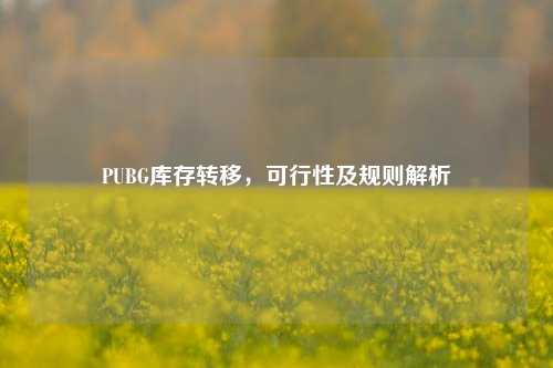PUBG库存转移,可行性及规则解析