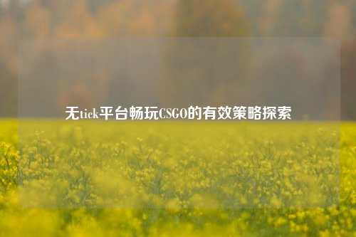 无tick平台畅玩CSGO的有效策略探索