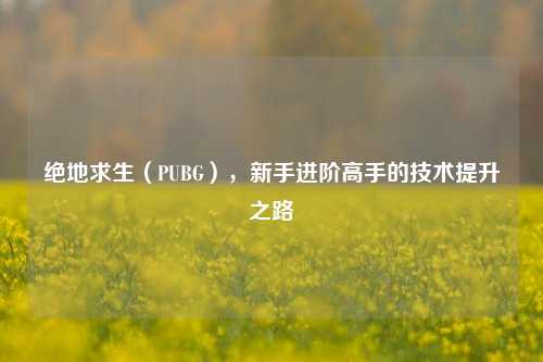 绝地求生（PUBG），新手进阶高手的技术提升之路