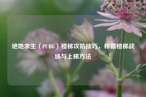 绝地求生(PUBG)楼梯攻防技巧,称霸楼梯战场与上梯方法