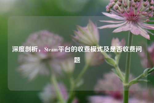 深度剖析,Steam平台的收费模式及是否收费问题