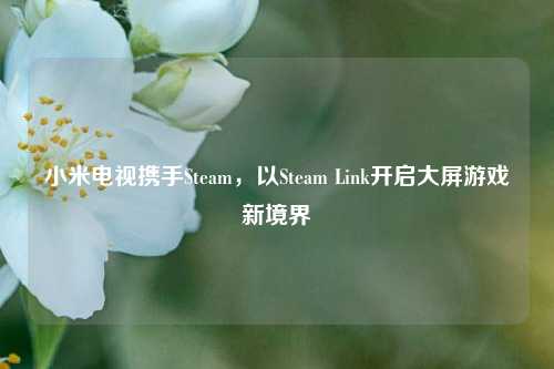 小米电视携手Steam,以Steam Link开启大屏游戏新境界