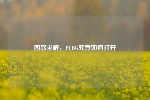 困惑求解，PUBG究竟如何打开