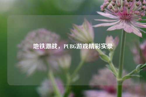 地铁激战,PUBG游戏精彩实录