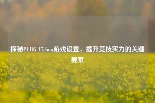 探秘PUBG 17shou游戏设置,提升竞技实力的关键要素