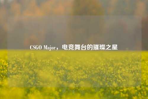 CSGO Major，电竞舞台的璀璨之星
