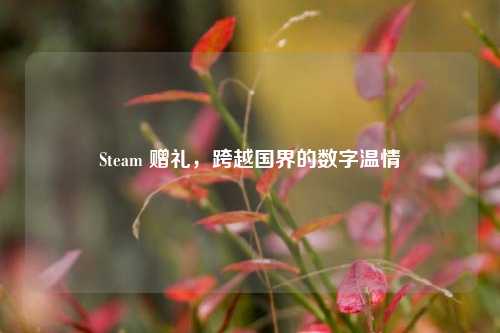 Steam 赠礼,跨越国界的数字温情
